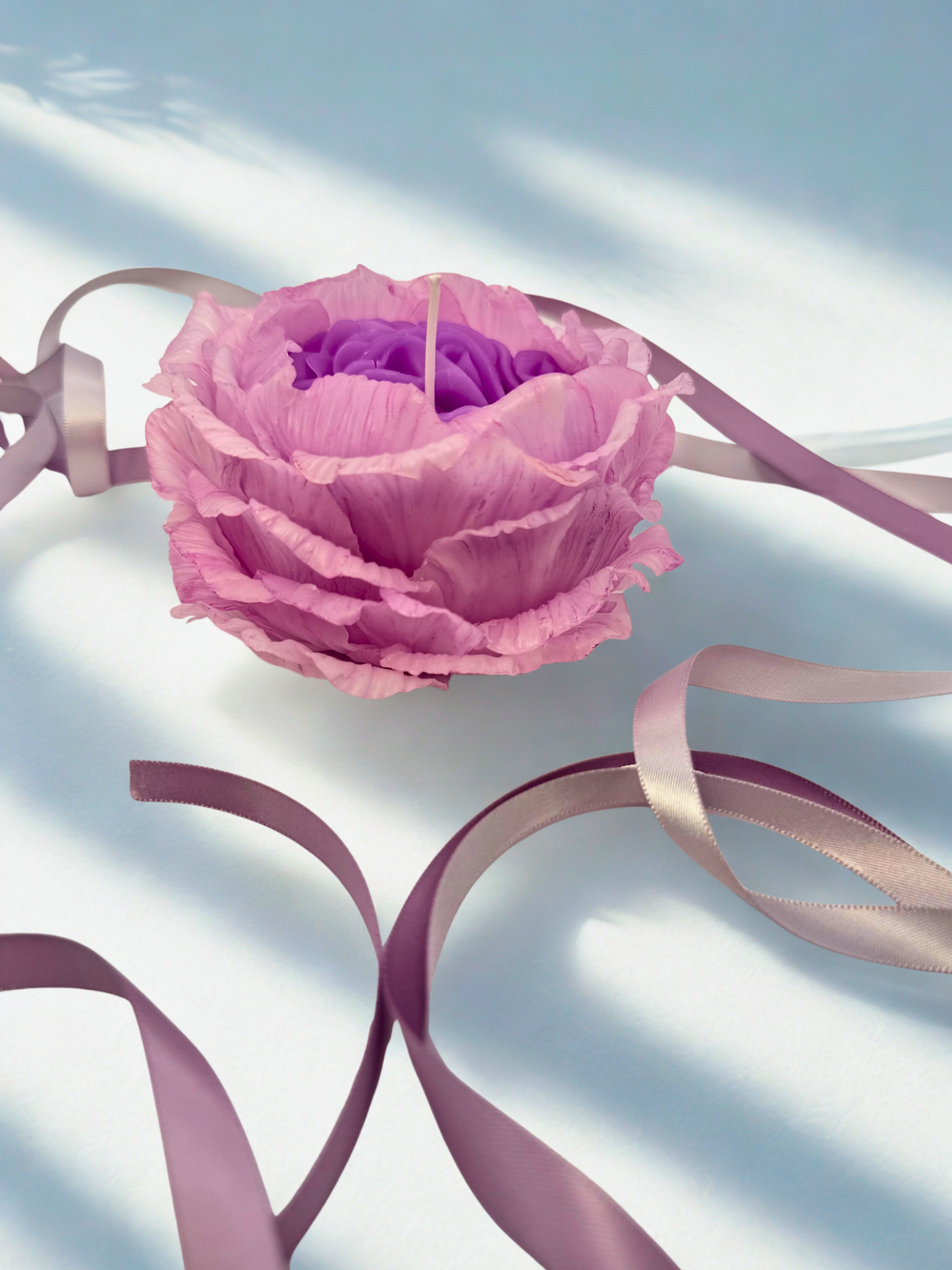 Purple Rose (Gift Wrapped)