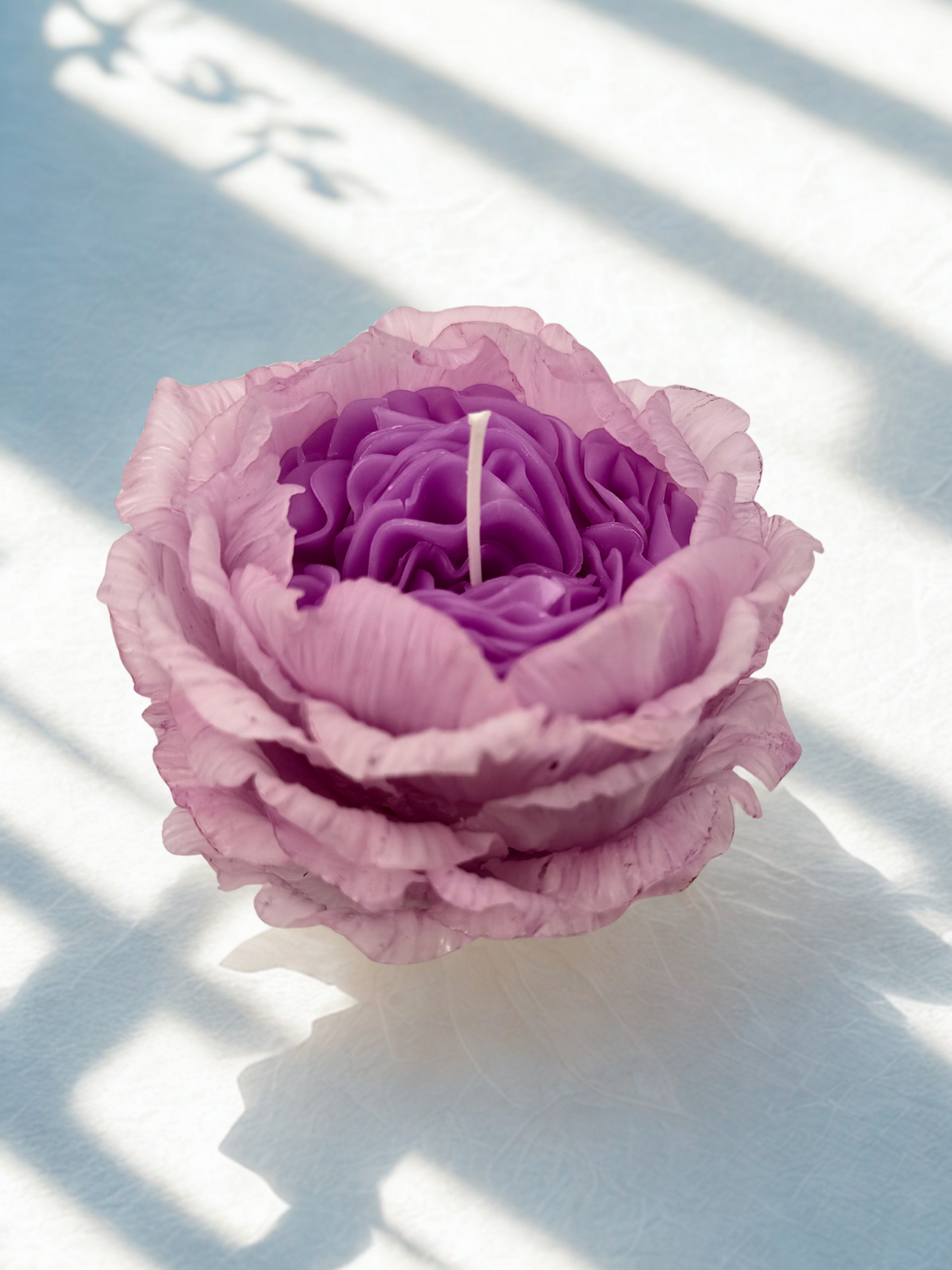 Purple Rose (Gift Wrapped)