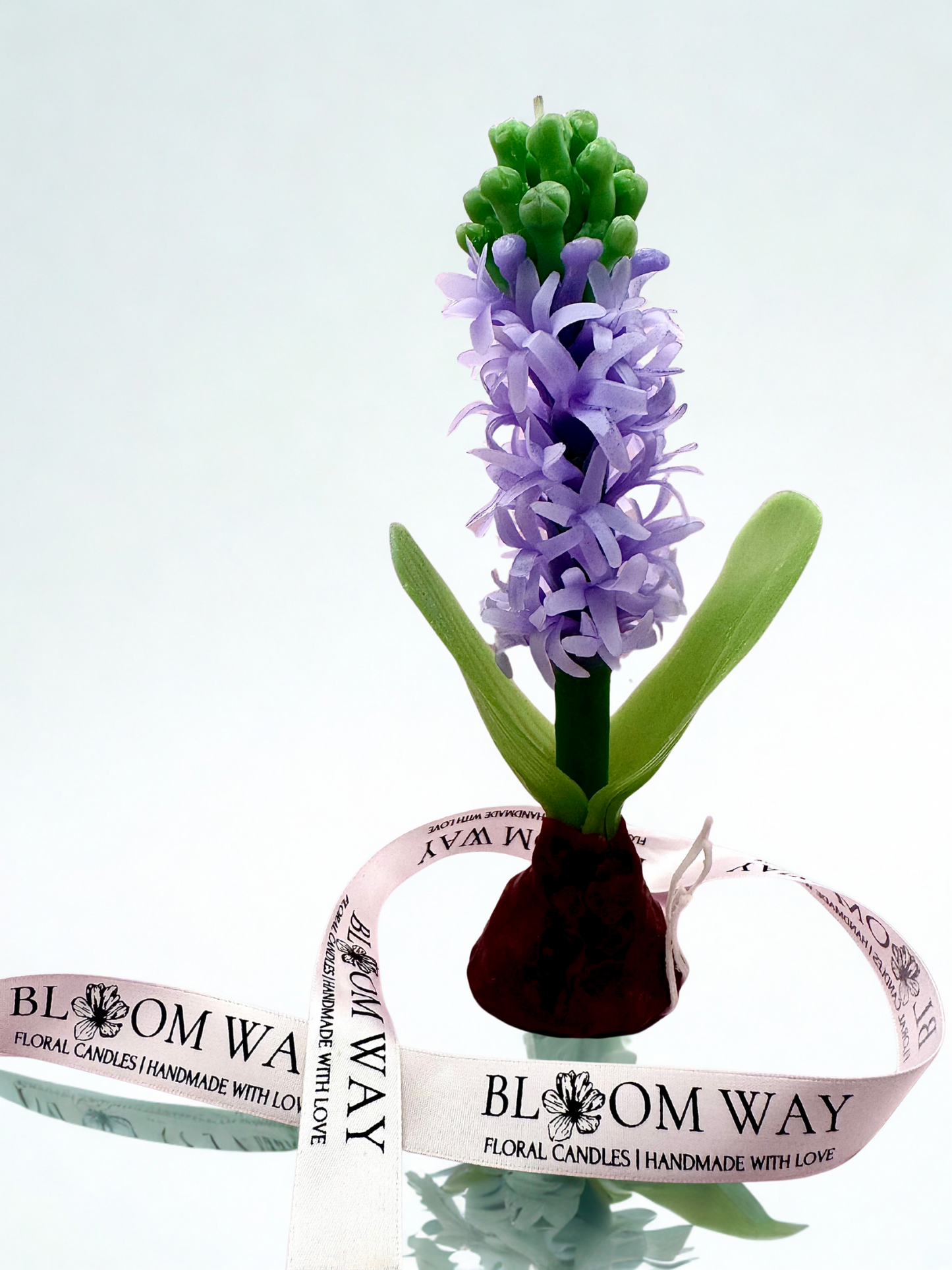 Hyacinth Candle (Gift Wrapped)