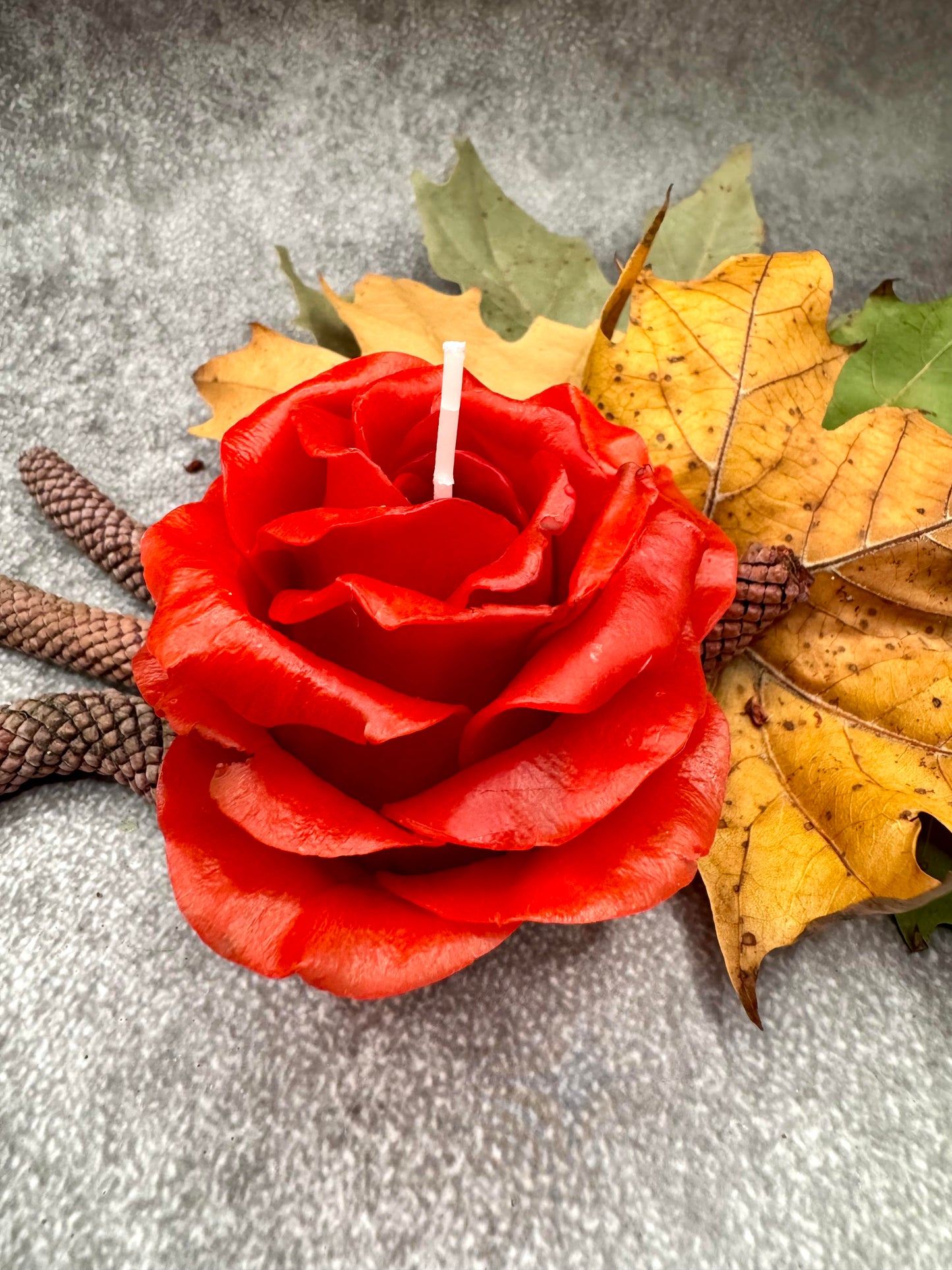 Crimson Rose (Gift Wrapped)