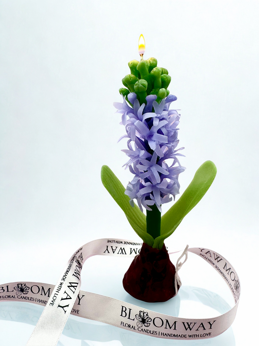 Hyacinth Candle (Gift Wrapped)