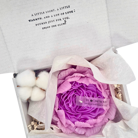 Purple Rose (Gift Wrapped)